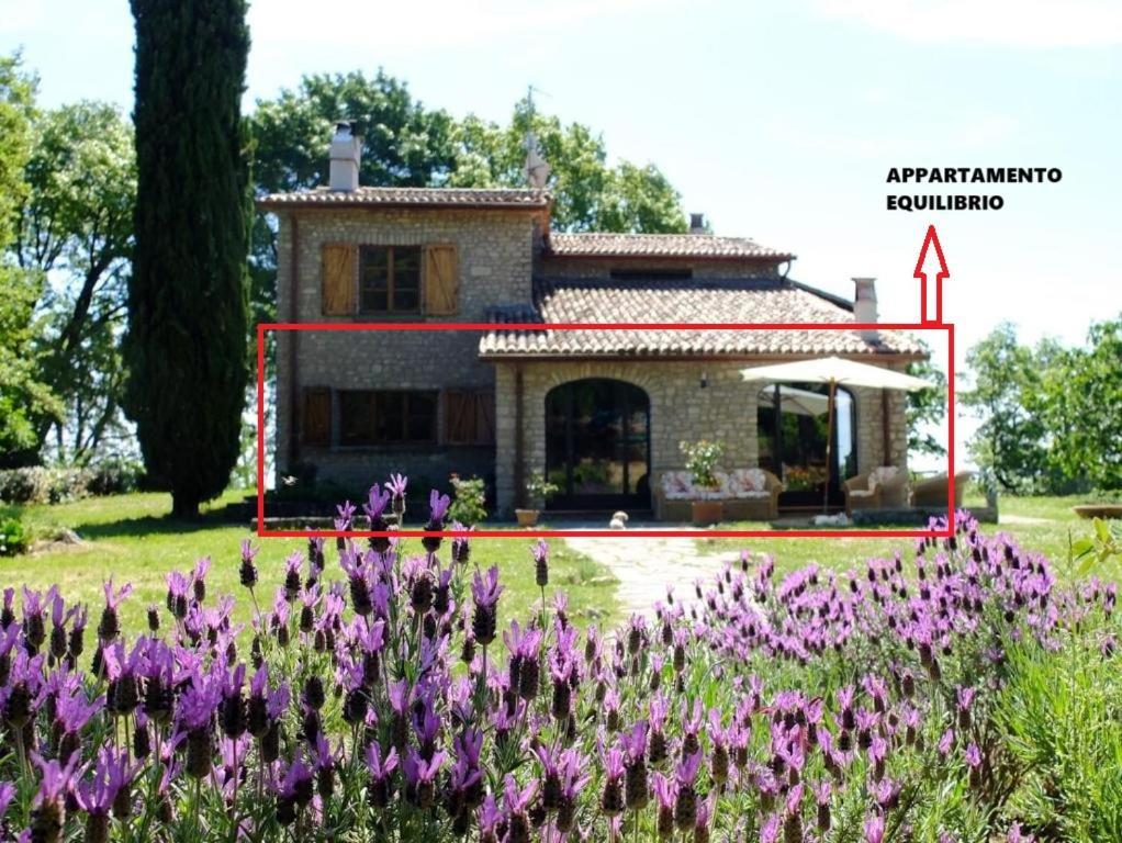 Agriturismo Sanventura 치타디카스텔로 외부 사진